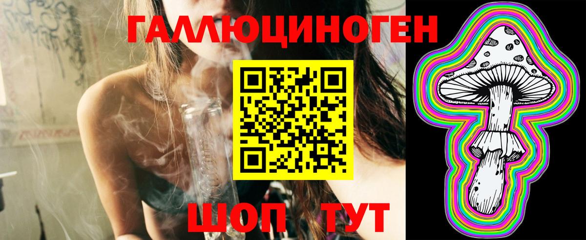 Псилоцибиновые грибы Psilocybe Белая Калитва