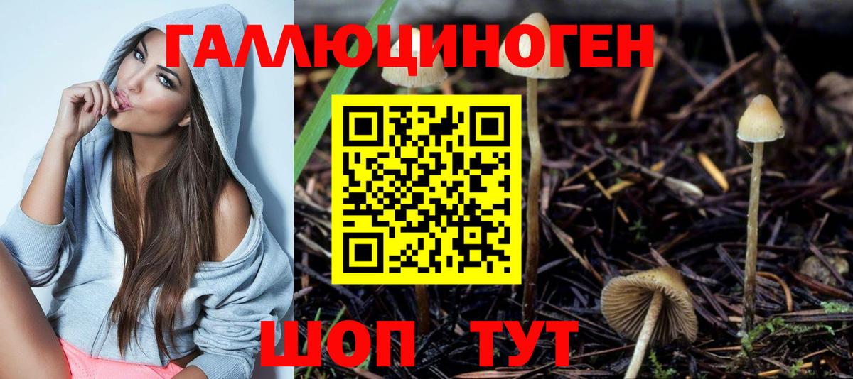 Галлюциногенные грибы MAGIC MUSHROOMS  Вход с VPN  Белая Калитва 